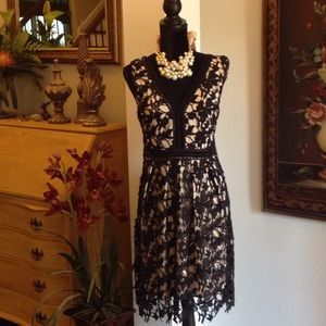 Romeo & Juliet Couture Black Lace Dress